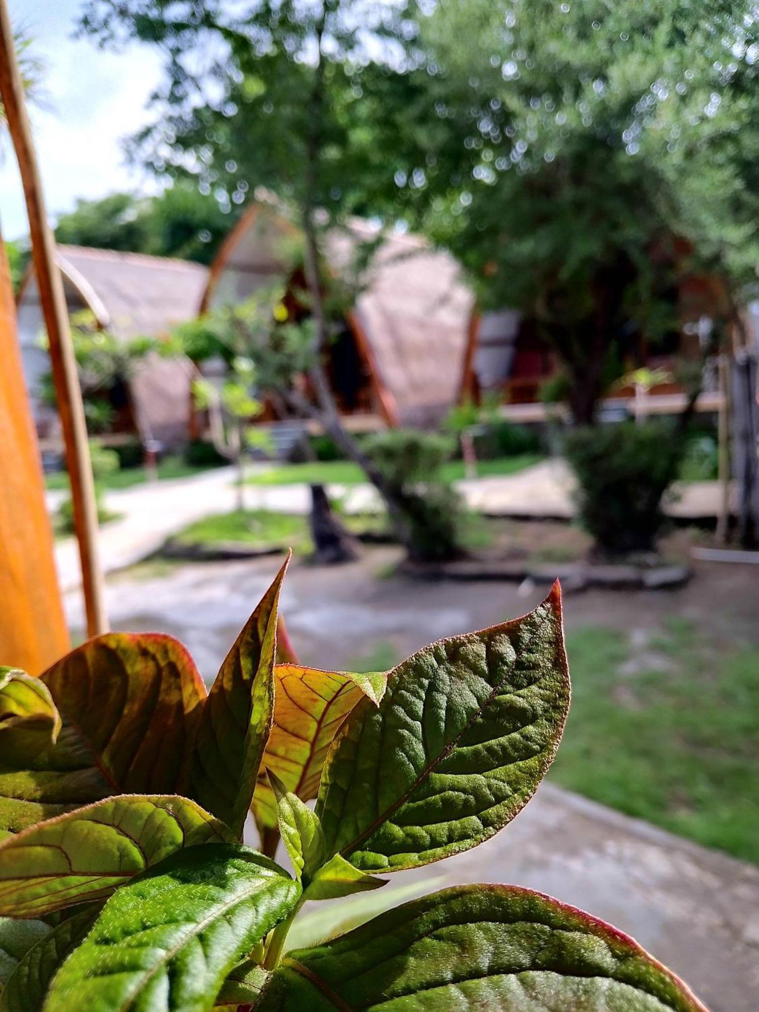 We'Be Cottages Gili Meno Exterior foto